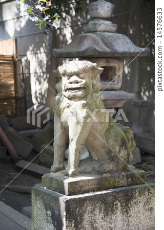 A guardian dog at Yasui Shrine A guardian dog at Yasui Shrine 14576633