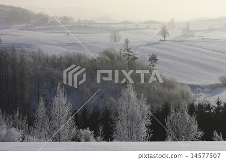 Earth of fog and ice Earth of fog and ice 14577507