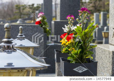 Buddha flowers and cemetery 14577949
