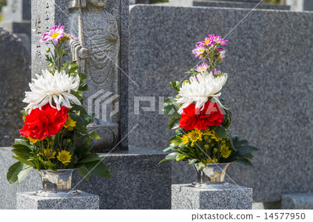 Buddha flowers and cemetery 14577950