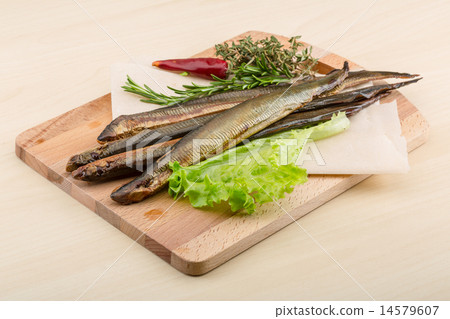 Lamprey Lamprey 14579607