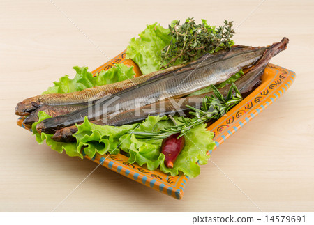Lamprey Lamprey 14579691