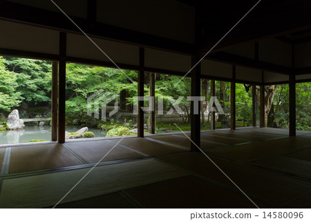 Fresh green of lotus temple 14580096