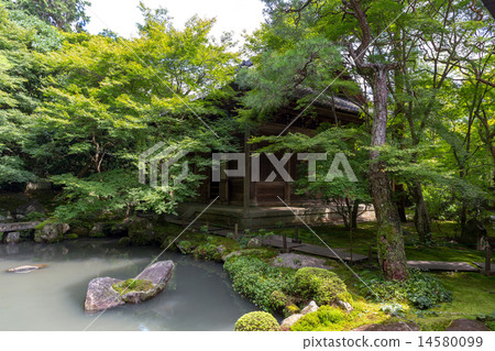 蓮花寺廟新綠色 14580099
