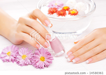 Stock Photo: french manicure with colorful chrysanthemum