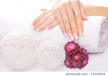 french manicure with colorful chrysanthemum french manicure with colorful chrysanthemum 14580836