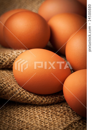many eggs on burlap many eggs on burlap 14580880
