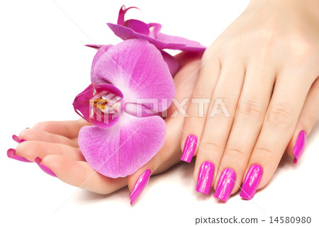manicure with orchid flower. isolated manicure with orchid flower. isolated 14580980