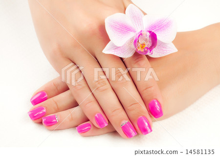 manicure with orchid flower. isolated 14581135