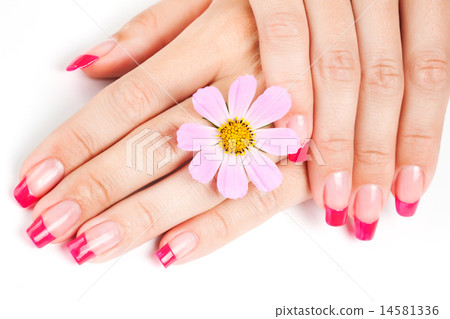 Woman hands with pink manicure Woman hands with pink manicure 14581336