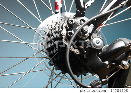 Rear bike cassette on the wheel with chain 14581398
