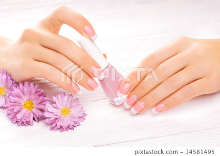 beautiful french manicure on white beautiful french manicure on white 14581495