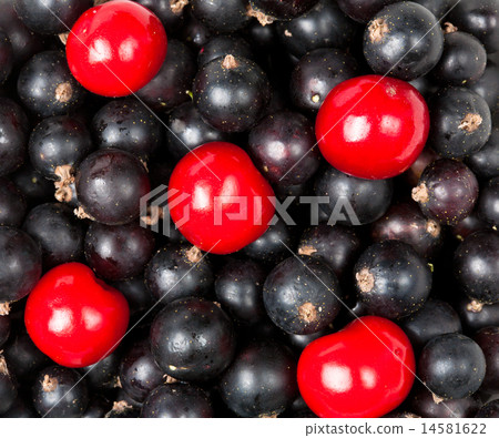 ripe berries of cherry and black currant 14581622