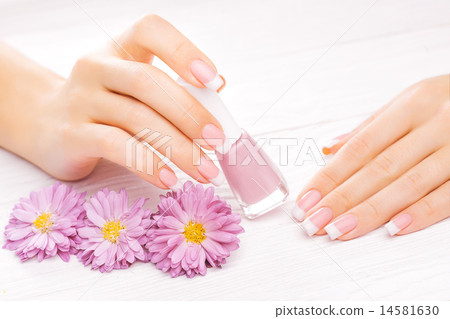 beautiful manicure on white 14581630