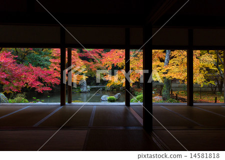 蓮花寺廟秋葉 蓮花寺廟秋葉 14581818