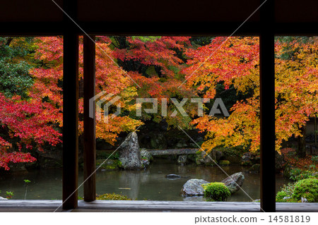 蓮花寺廟秋葉 蓮花寺廟秋葉 14581819
