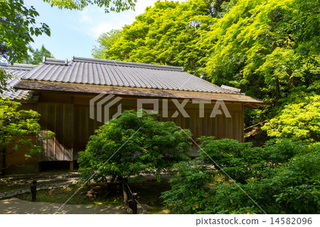 新鮮的綠色 - 藍色聖所怪物軌道 新鮮的綠色 - 藍色聖所怪物軌道 14582096