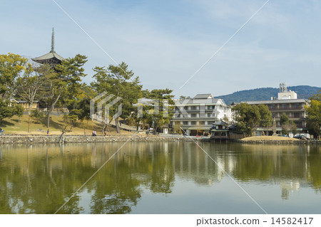 Sarusawa Pond和Kofukuji 14582417