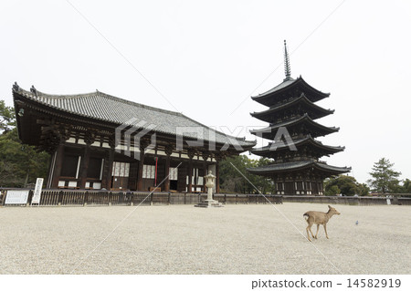 興福寺的Higashidankudo和五層寶塔 14582919