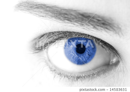 beautiful Blue woman eye macro shot beautiful Blue woman eye macro shot 14583631