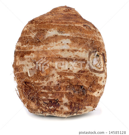 taro corm 14585128