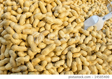 peanuts in a shop peanuts in a shop 14585400