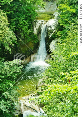 Waterfall Waterfall 14585409