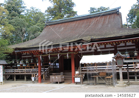 Isonokami Shrine 14585627