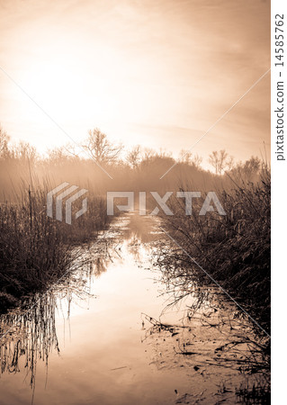 Idyllic lake 14585762