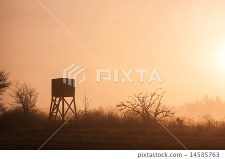 Lookout tower 14585763