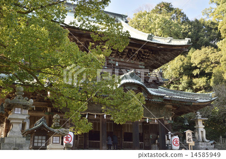 Kanpira Miya Asahi 14585949