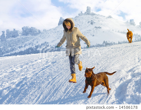 Woman jumping with dogs 14586178