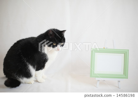 精品網和白板 14586198