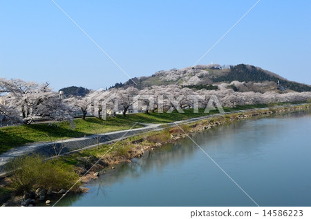 乍一看Senbonzakura和Shiraishikawa 14586223