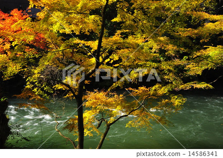 Hokuriku Yamanaka Onsen“Tsurugensei” 14586341