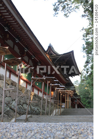 Isonokami Shrine Isonokami Shrine 14586410