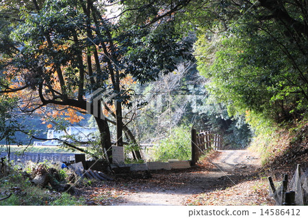 "Yamanobe no Michi" in Nara Prefecture 14586412