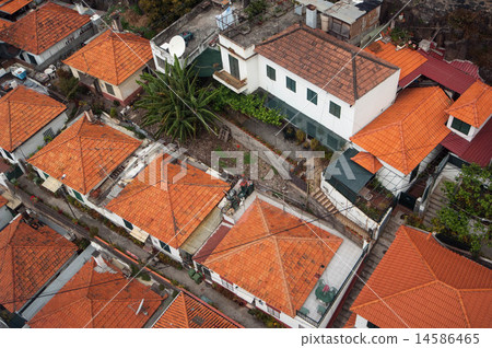 Rooftops of Funchal from Monte in Madeira 14586465