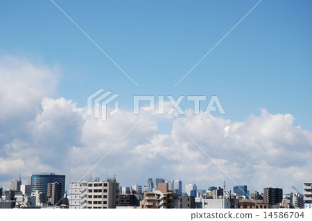 東京的藍天 14586704