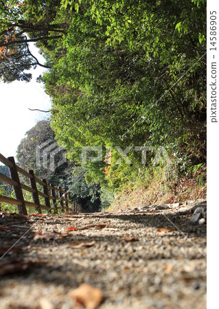 "Yamanobe no Michi" in Nara Prefecture 14586905