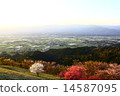 scenery 14587095