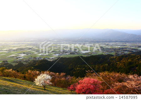 scenery 14587095