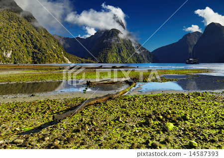 Milford Sound, New Zealand Milford Sound, New Zealand 14587393