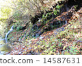 spring  14587631