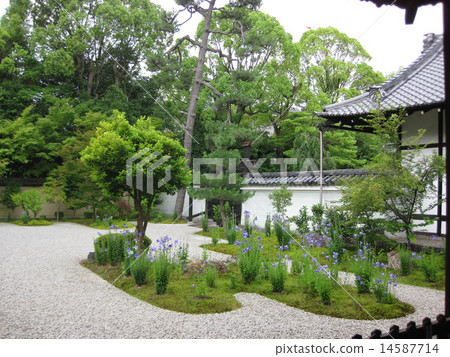 Lushan temple garden 14587714