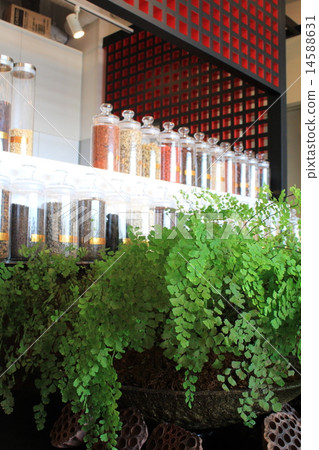 Yakushu cafe 14588631