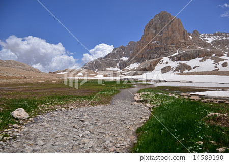 spring in high mountains spring in high mountains 14589190