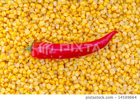 Paprika on corn as background 14589664