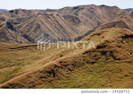 New Zealand countryside 14589751