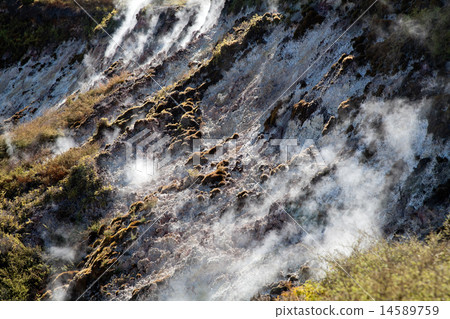 Geothermal Wonderland 14589759